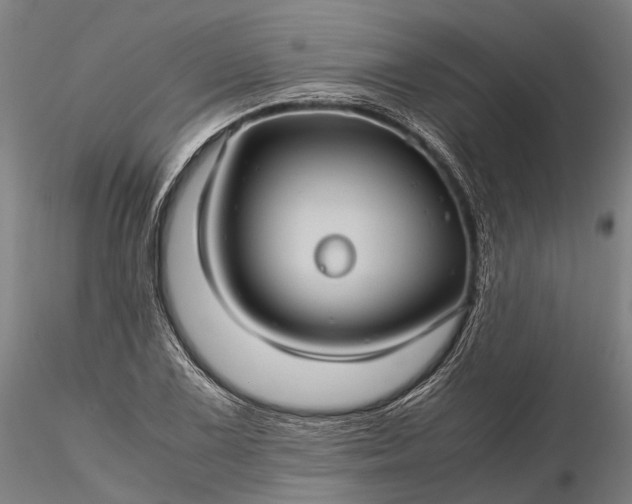 X0000116121075200912071340