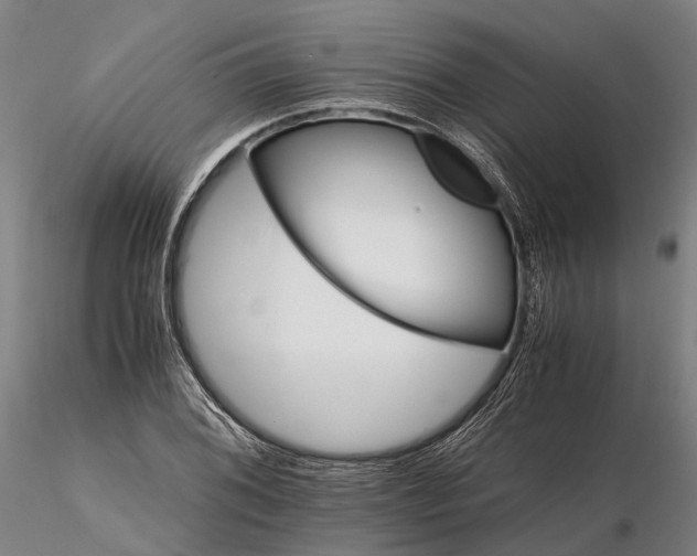 X0000116121076200912071340