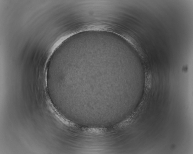 X0000116121078200912071340