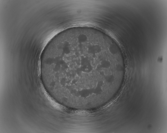 X0000116121079200912071340