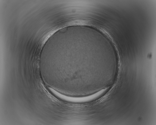 X0000116121081200912071340