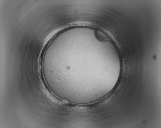 X0000116121082200912071340