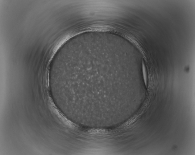 X0000116121083200912071340