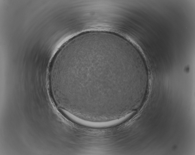 X0000116121085200912071340