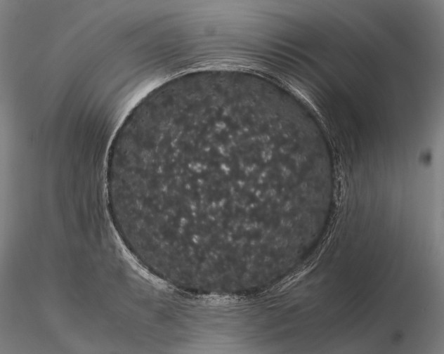 X0000116121087200912071340