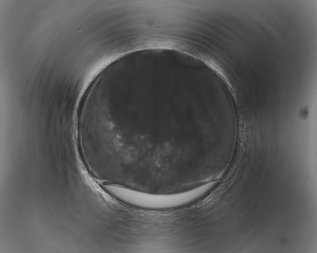 X0000116121088200912071340