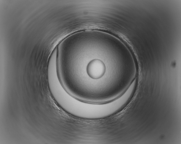 X0000116121089200912071340