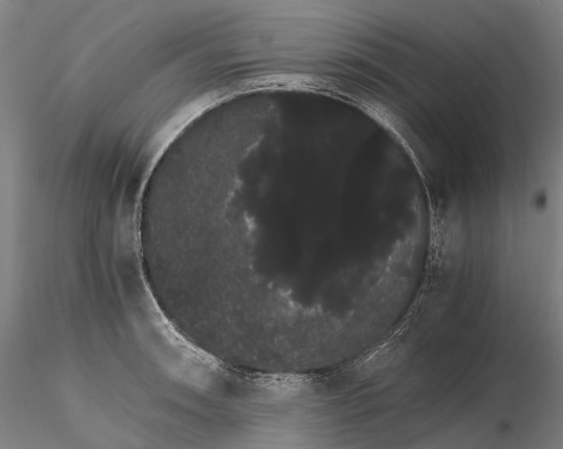 X0000116121090200912071340