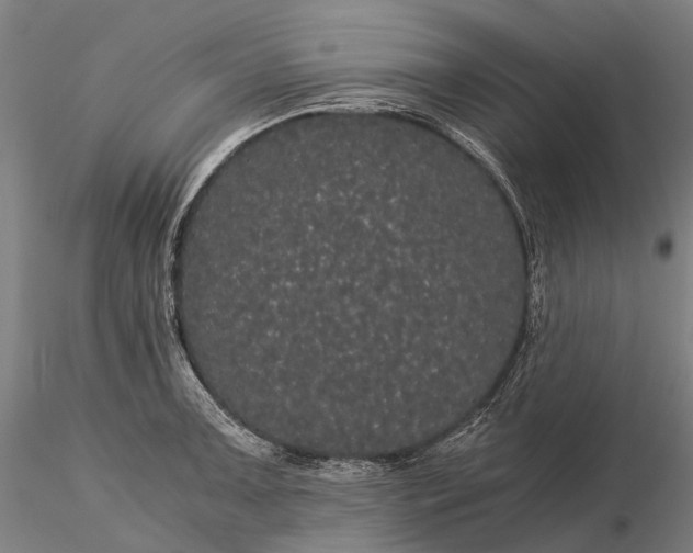 X0000116121091200912071340