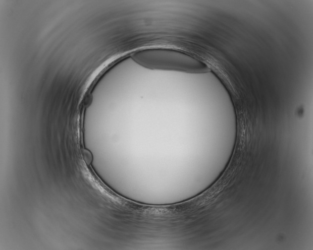 X0000116121092200912071340