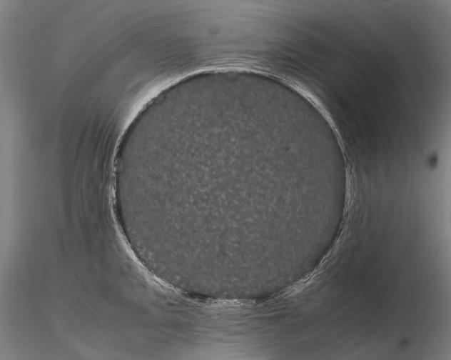 X0000116121093200912071340