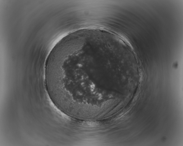 X0000116121095200912071340