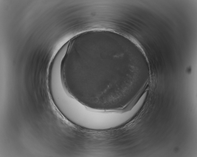 X0000116121096200912071340