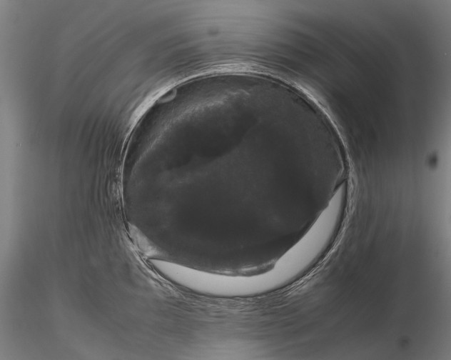 X0000116121097200912071340