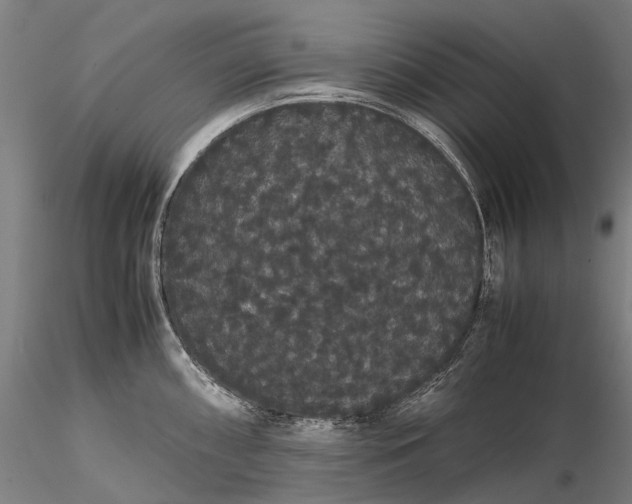 X0000116121098200912071340