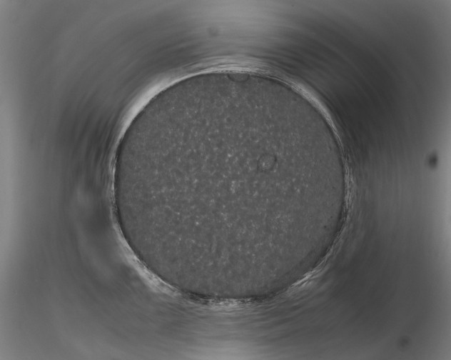 X0000116121099200912071340