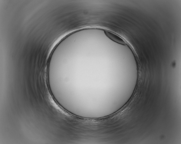 X0000116121100200912071340