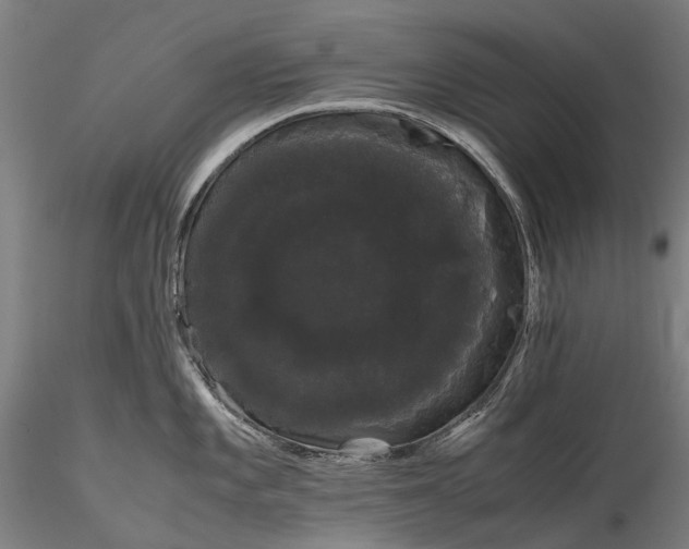 X0000116121101200912071340