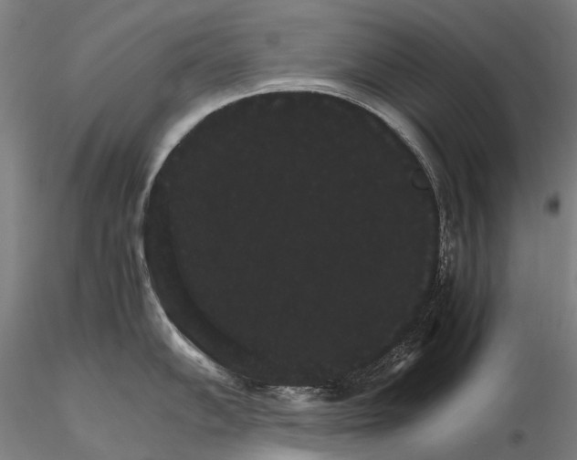 X0000116121102200912071340