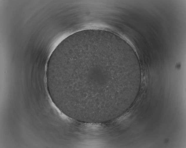 X0000116121103200912071340