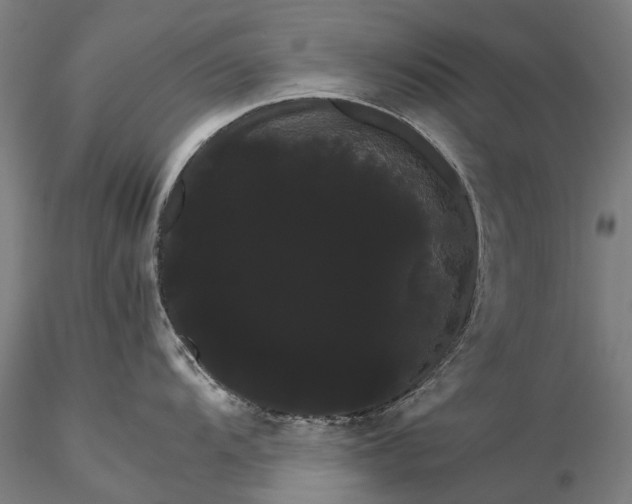 X0000116121104200912071340