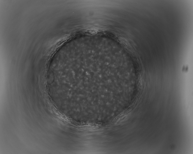 X0000116121105200912071339