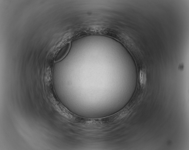 X0000116121107200912071339