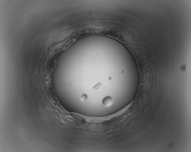 X0000116121109200912071339