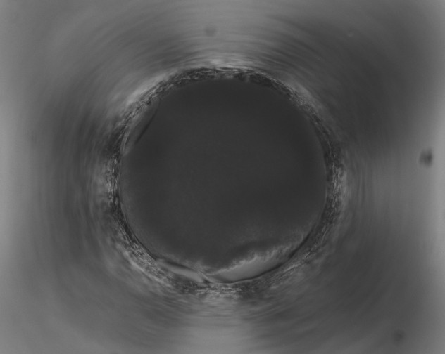 X0000116121110200912071339