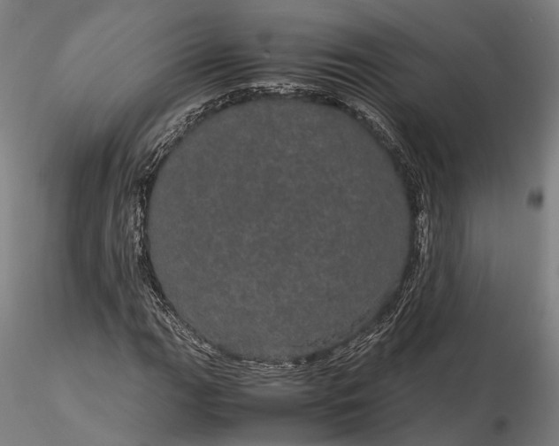 X0000116121111200912071339