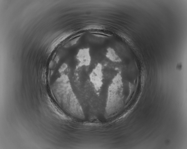 X0000116121113200912071339