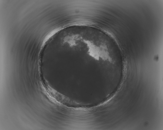 X0000116121114200912071339