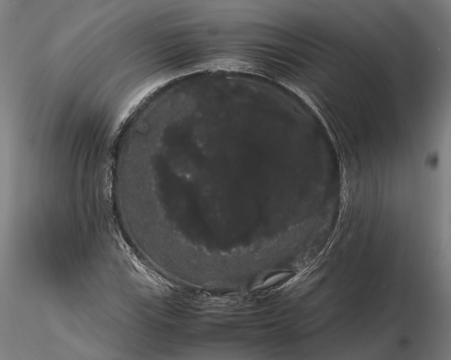 X0000116121115200912071340