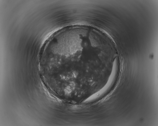 X0000116121117200912071340