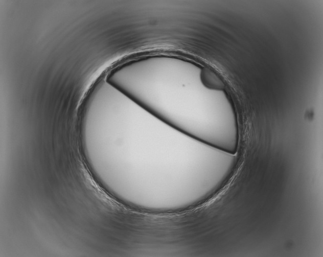 X0000116121118200912071340