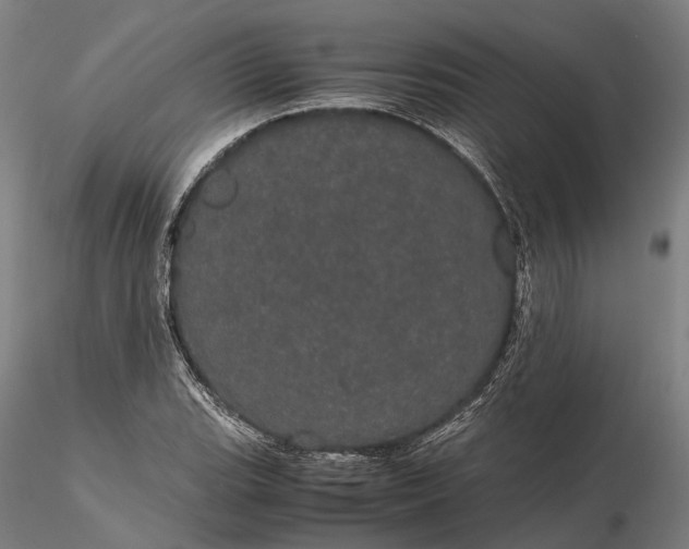 X0000116121119200912071340