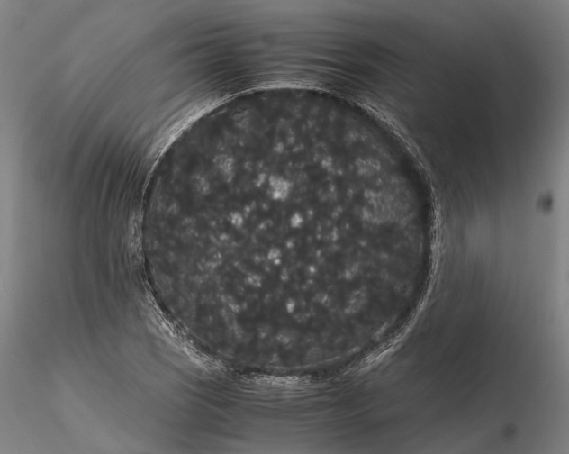 X0000116121121200912071340