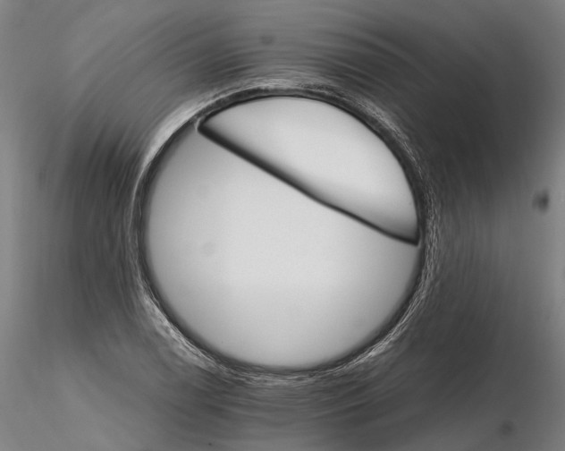 X0000116121122200912071340