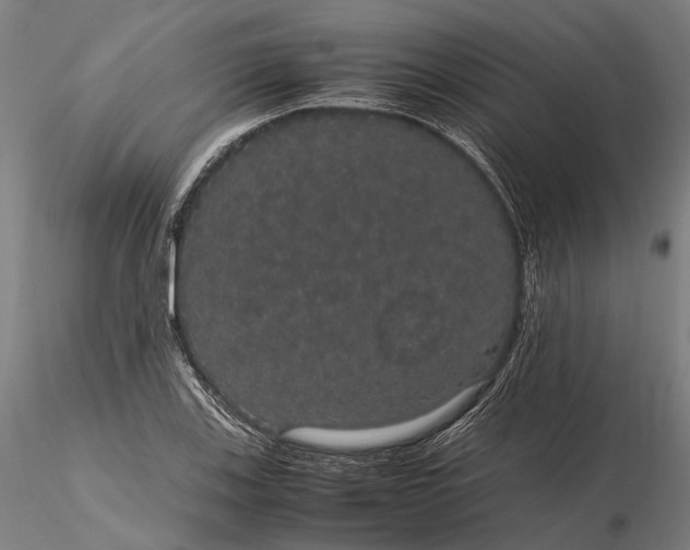 X0000116121123200912071340