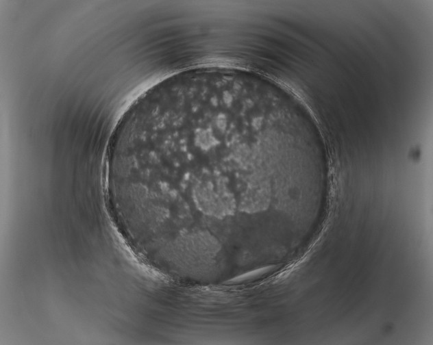 X0000116121125200912071340