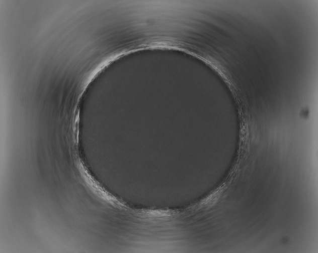 X0000116121126200912071340