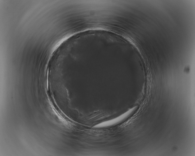 X0000116121127200912071340