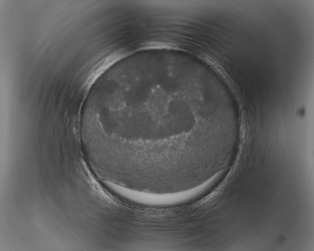 X0000116121129200912071340