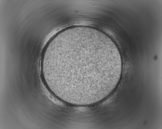 X0000116121130200912071340