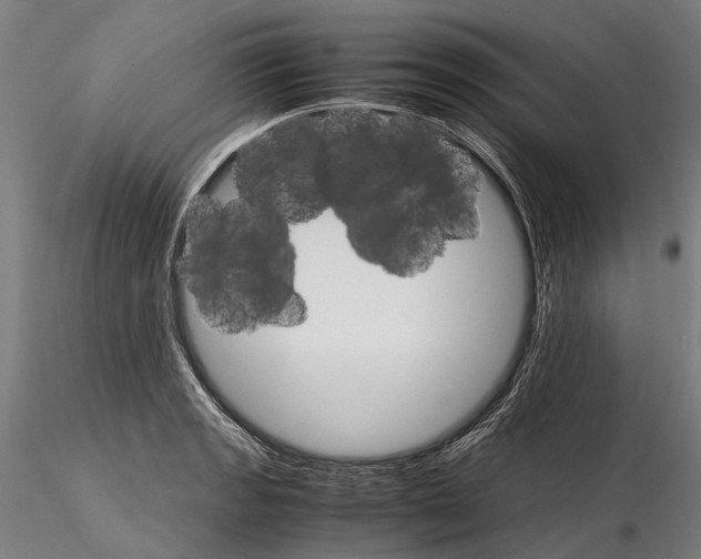 X0000116121133200912071340