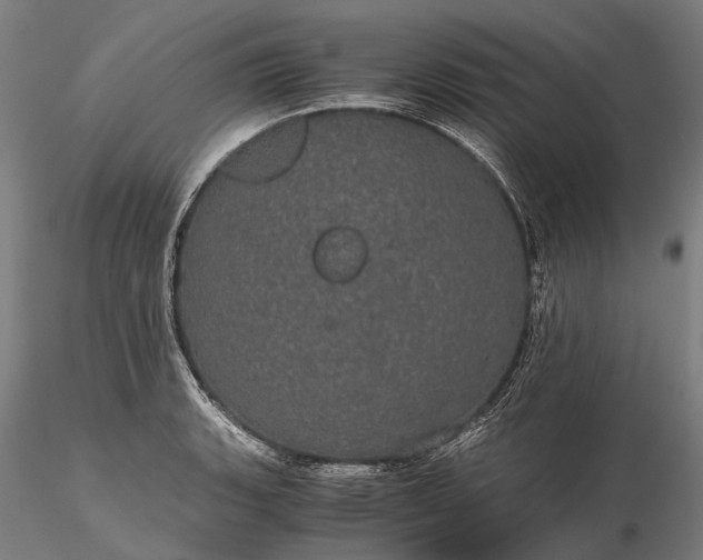 X0000116121135200912071340