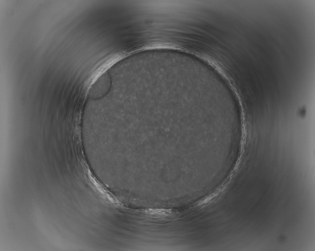 X0000116121137200912071340