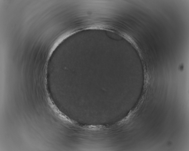 X0000116121138200912071340