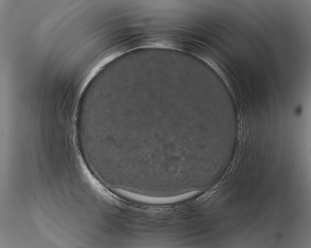 X0000116121139200912071340