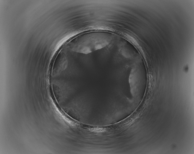 X0000116121141200912071340